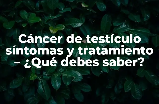 Cáncer de Testículo Síntomas y Tratamiento – ¿qué Debes Saber?