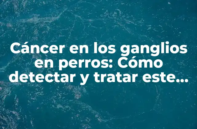 Cáncer en los Ganglios en Perros: Cómo Detectar y Tratar Este Tipo de Cáncer Canino