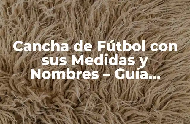 Cancha de Fútbol con Sus Medidas y Nombres – Guía Completa