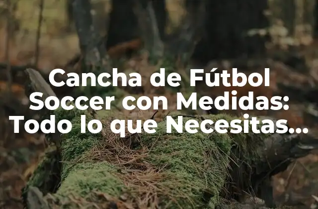 Cancha de Fútbol Soccer con Medidas: Todo Lo que Necesitas Saber