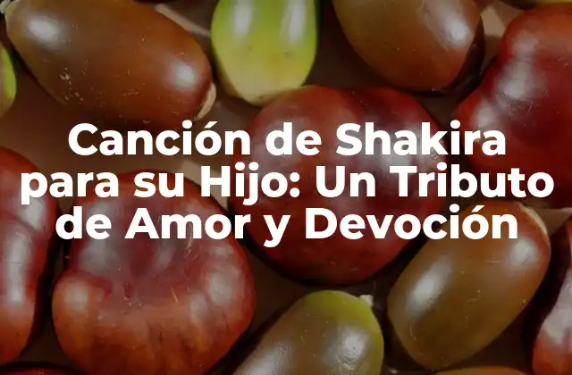 Canción de Shakira para Su Hijo: un Tributo de Amor y Devoción