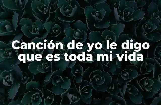 Canción de Yo Le Digo que es Toda Mi Vida