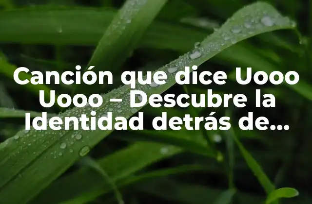 Canción que Dice Uooo Uooo – Descubre la Identidad Detrás de Este Grito