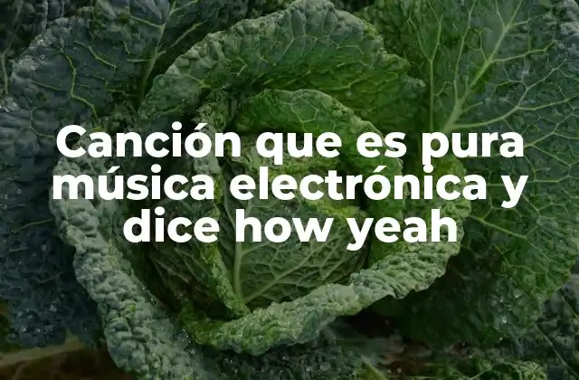 Canción que es Pura Música Electrónica y Dice How Yeah