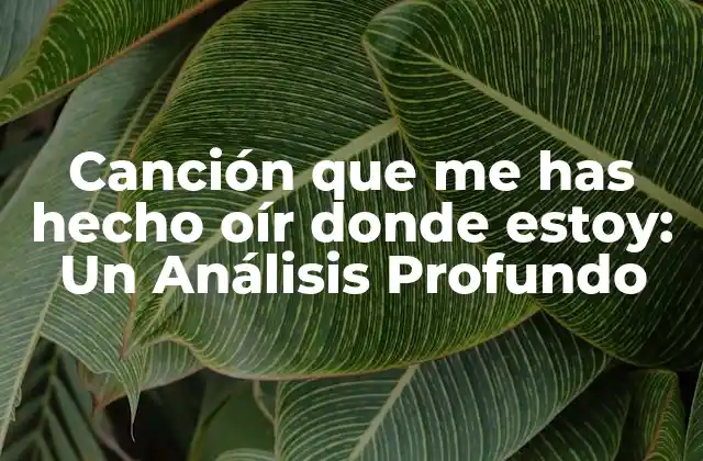 Canción que Me Has Hecho Oír Donde Estoy: un Análisis Profundo