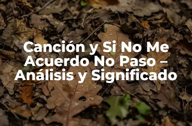 Canción y Si No Me Acuerdo No Paso – Análisis y Significado