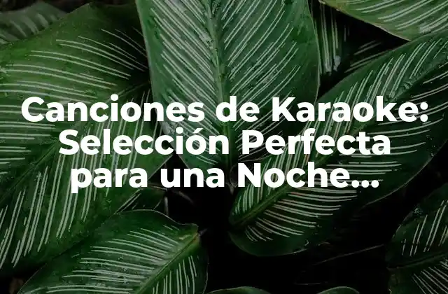 Canciones de Karaoke: Selección Perfecta para una Noche Inolvidable