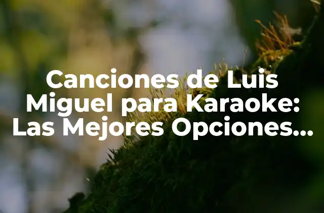 Canciones de Luis Miguel para Karaoke: las Mejores Opciones para Cantar como el Sol de México