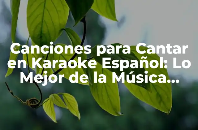 Canciones para Cantar en Karaoke Español: Lo Mejor de la Música Latina