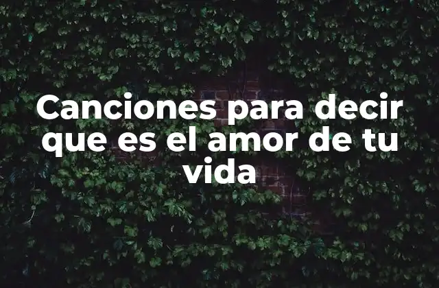 Canciones para Decir que es el Amor de Tu Vida
