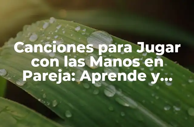 Canciones para Jugar con las Manos en Pareja: Aprende y Diviértete