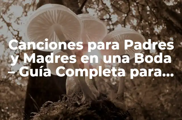 Canciones para Padres y Madres en una Boda – Guía Completa para un Día Inolvidable
