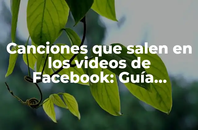 Canciones que Salen en los Videos de Facebook: Guía Definitiva para Encontrar la Música Perfecta