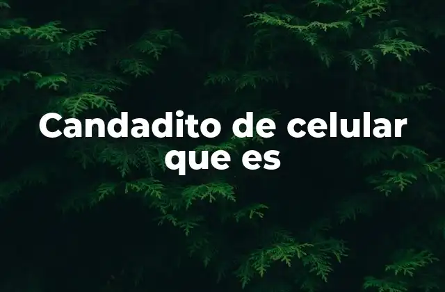 Candadito de Celular que es