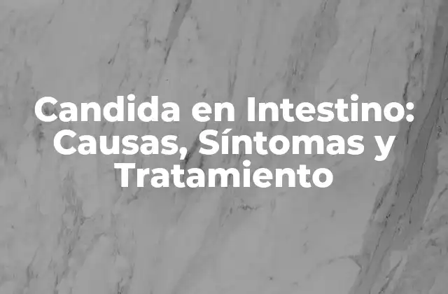 Candida en Intestino: Causas, Síntomas y Tratamiento