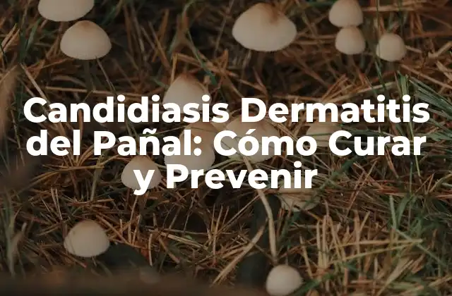 Candidiasis Dermatitis Del Pañal: Cómo Curar y Prevenir