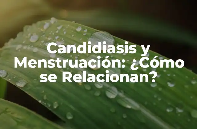 Candidiasis y Menstruación: ¿cómo Se Relacionan? 2 ¿Qué es la Candidiasis?