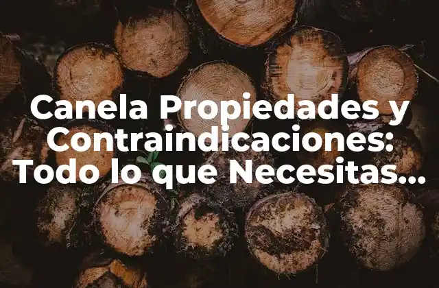 Canela Propiedades y Contraindicaciones: Todo Lo que Necesitas Saber