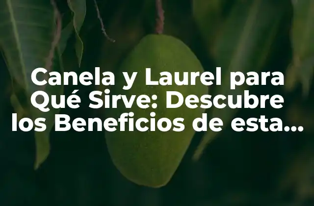 Canela y Laurel para Qué Sirve: Descubre los Beneficios de Esta Combinación Natural