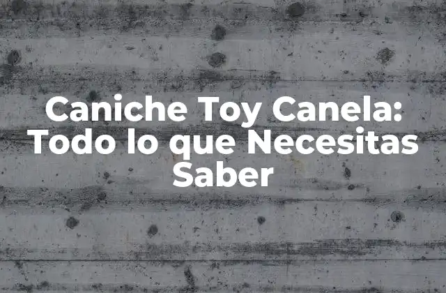Caniche Toy Canela: Todo Lo que Necesitas Saber