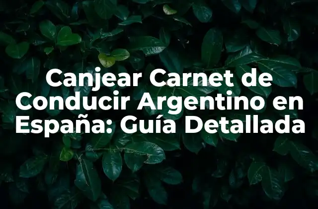 Canjear Carnet de Conducir Argentino en España: Guía Detallada