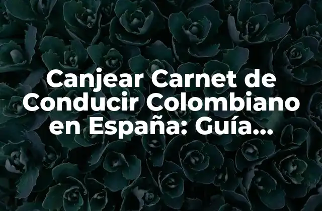 Canjear Carnet de Conducir Colombiano en España: Guía Completa