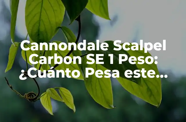 Cannondale Scalpel Carbon Se 1 Peso: ¿cuánto Pesa Este Modelo de Bicicleta de Montaña de Alto Rendimiento?