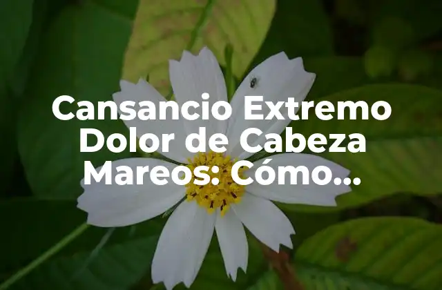 Cansancio Extremo Dolor de Cabeza Mareos: Cómo Identificar y Tratar Este Problema de Salud