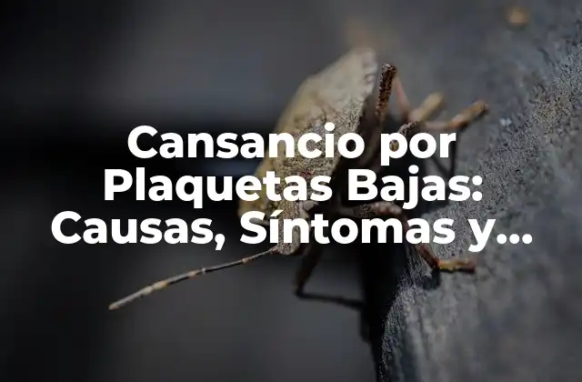 Cansancio por Plaquetas Bajas: Causas, Síntomas y Tratamiento