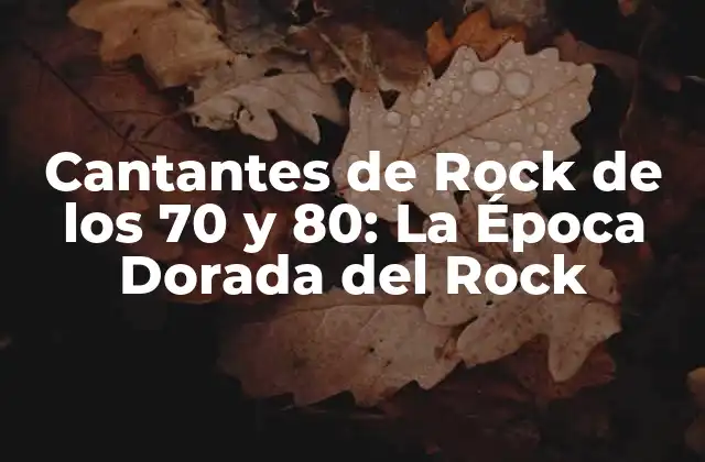 Cantantes de Rock de los 70 y 80: la Época Dorada Del Rock