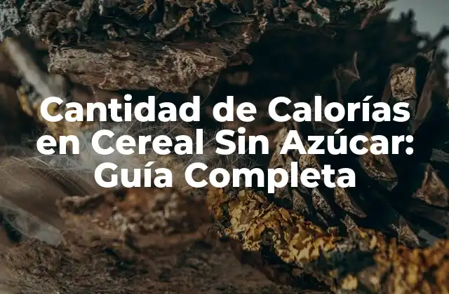 Cantidad de Calorías en Cereal sin Azúcar: Guía Completa