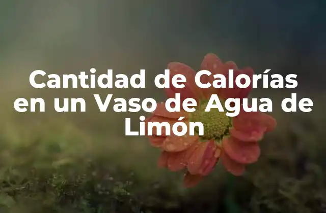 Cantidad de Calorías en un Vaso de Agua de Limón