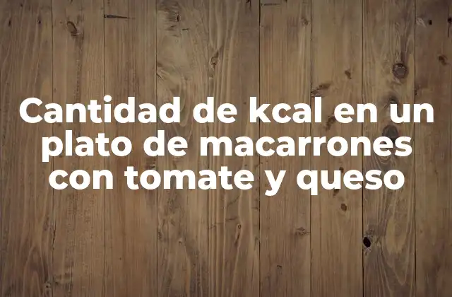 Cantidad de Kcal en un Plato de Macarrones con Tomate y Queso