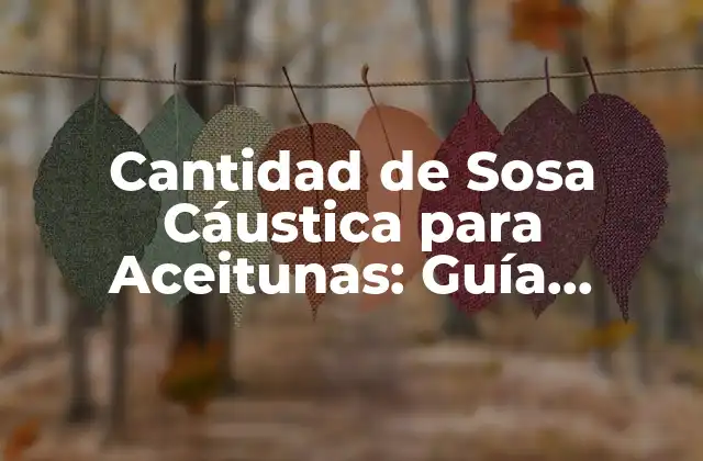 Cantidad de Sosa Cáustica para Aceitunas: Guía Completa