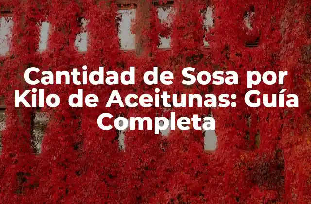 Cantidad de Sosa por Kilo de Aceitunas: Guía Completa