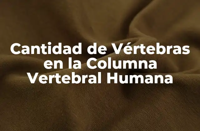 Cantidad de Vértebras en la Columna Vertebral Humana