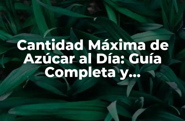 Cantidad Máxima de Azúcar Al Día: Guía Completa y Actualizada