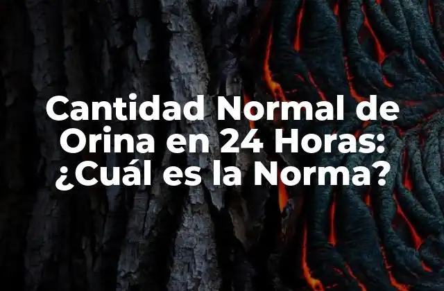 Cantidad Normal de Orina en 24 Horas: ¿cuál es la Norma?