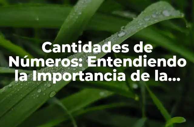 Cantidades de Números: Entendiendo la Importancia de la Aritmética en Nuestro Mundo