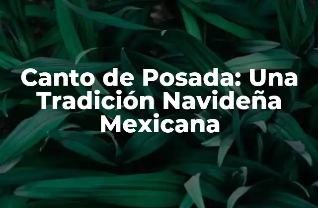 Canto de Posada: una Tradición Navideña Mexicana