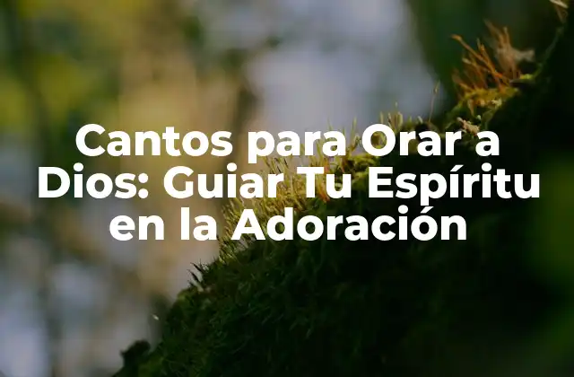 Cantos para Orar a Dios: Guiar Tu Espíritu en la Adoración
