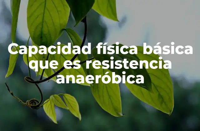 Capacidad Física Básica que es Resistencia Anaeróbica
