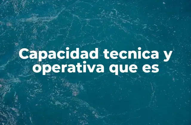 Capacidad Tecnica y Operativa que es