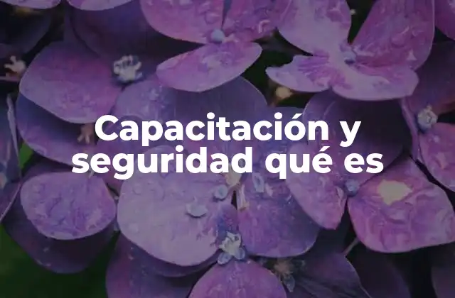 Capacitación y Seguridad Qué es