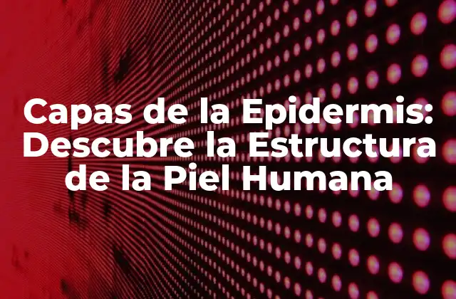 Capas de la Epidermis: Descubre la Estructura de la Piel Humana