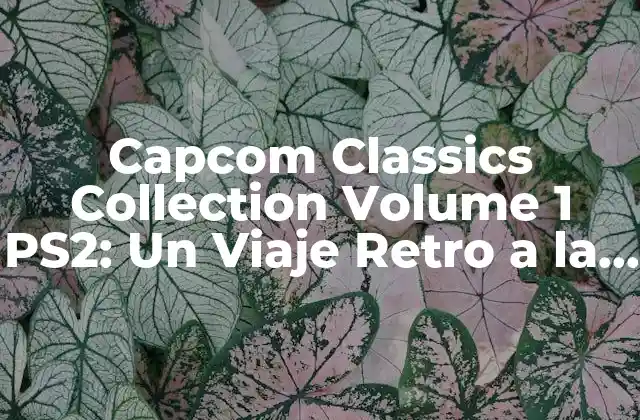 Capcom Classics Collection Volume 1 Ps2: un Viaje Retro a la Era Dorada de los Videojuegos