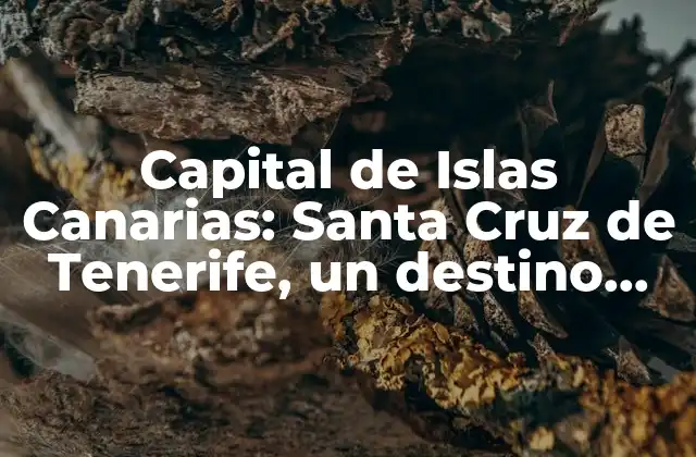 Capital de Islas Canarias: Santa Cruz de Tenerife, un Destino Turístico y Económico