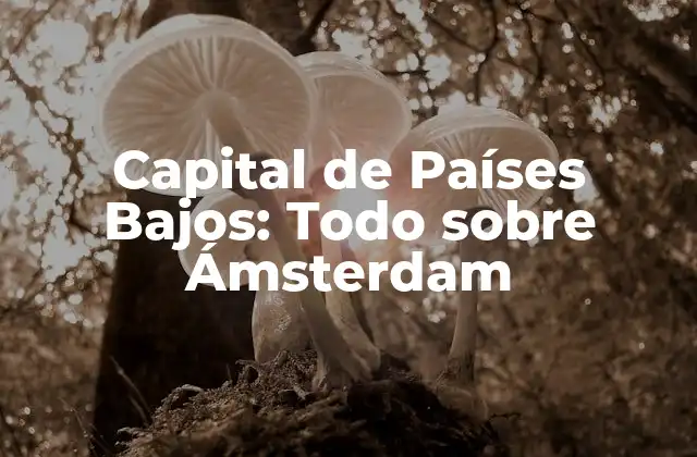 Capital de Países Bajos: Todo sobre Ámsterdam 2 Historia de Ámsterdam