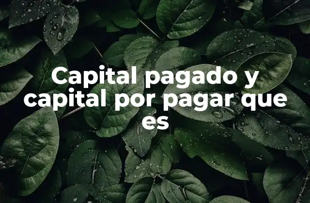 Capital Pagado y Capital por Pagar que es