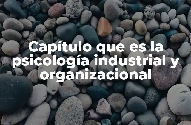 Capítulo que es la Psicología Industrial y Organizacional